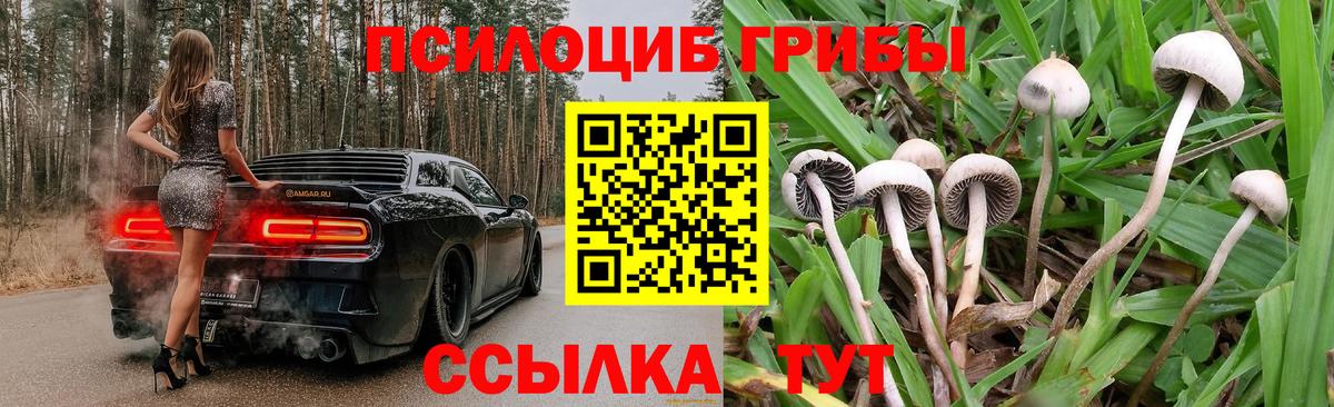 Элиста  Галлюциногенные грибы мицелий  Вход с VPN 